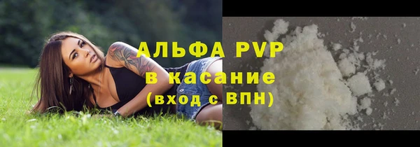 стафф Алексин