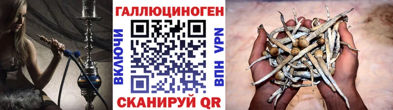 Псилоцибиновые грибы MAGIC MUSHROOMS  Уфа 
